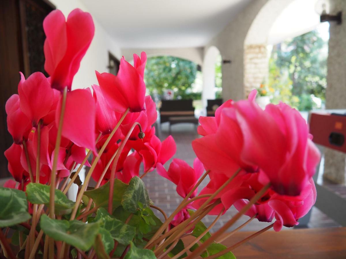 B&B Villa Filotea & Apartment Desenzano del Garda Exterior foto